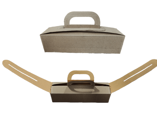 Carry box